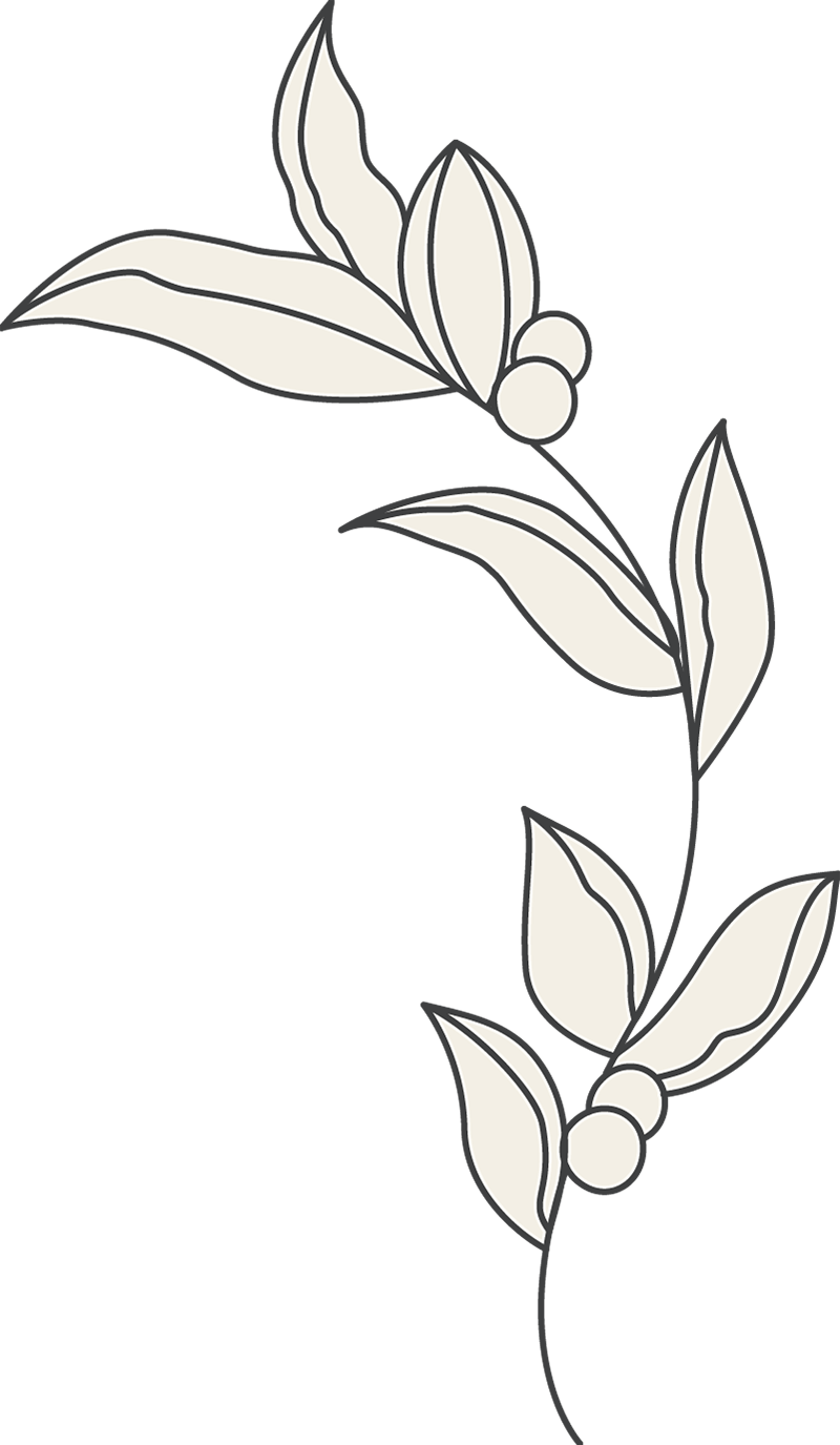 beauty-esthetician-39 Projekty 6
