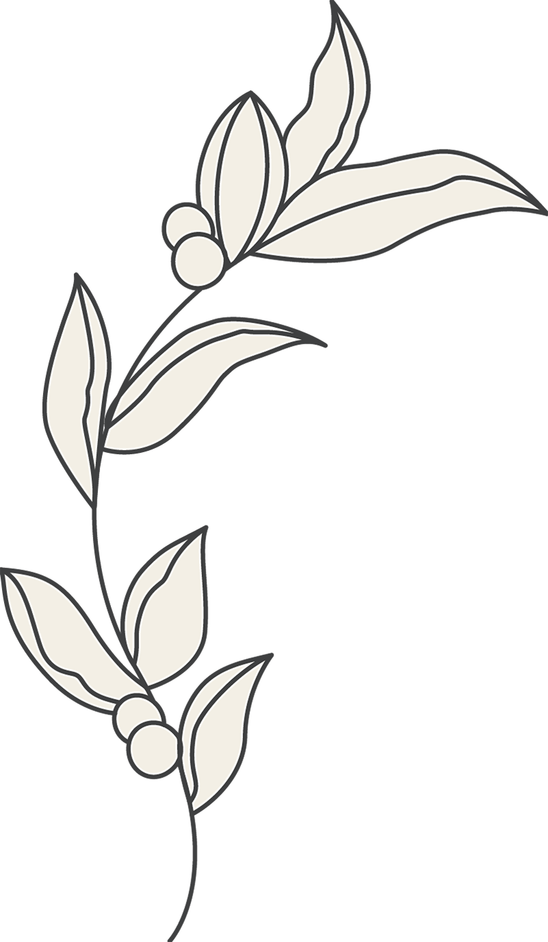 beauty-esthetician-40 Projekty 5